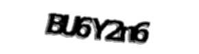 Security check image, please type the characters shown