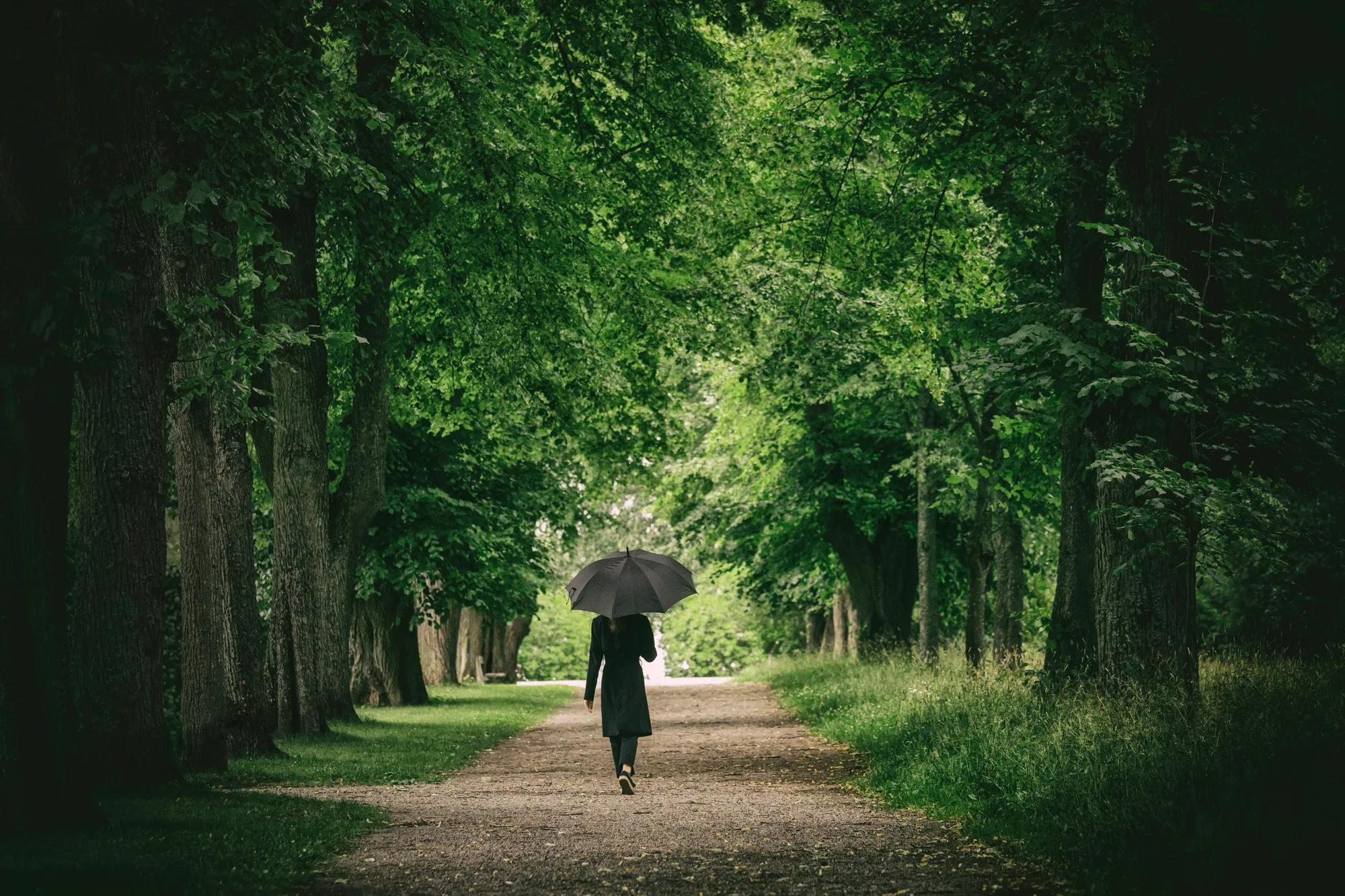 A woman with an umbrella walking down a path through a forest on a rainy day.
